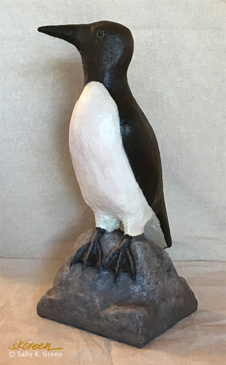 common murre